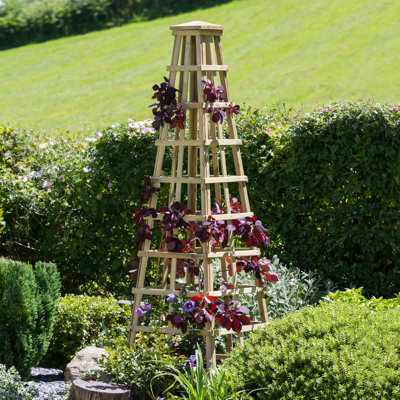 Lynnfield 200cm H x 60cm W Wood Obelisk