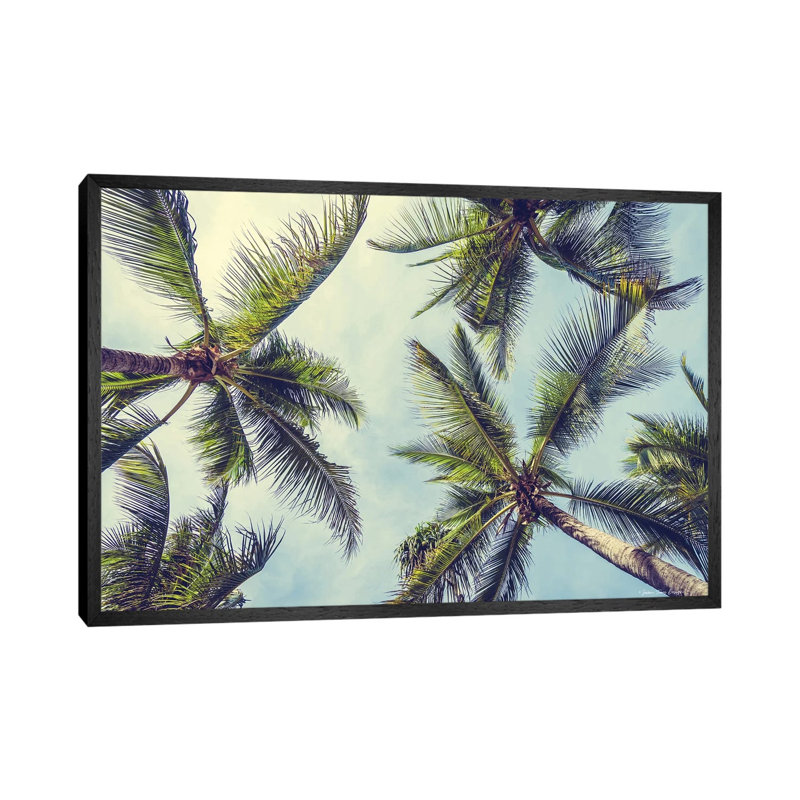 Palms In The Sky - Print on Canvas, 45.72cm H x 66.04cm W x 3.81cm D, Black Floater Framed