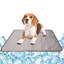 Couverture pour chien, mat, couleur brun-551690984