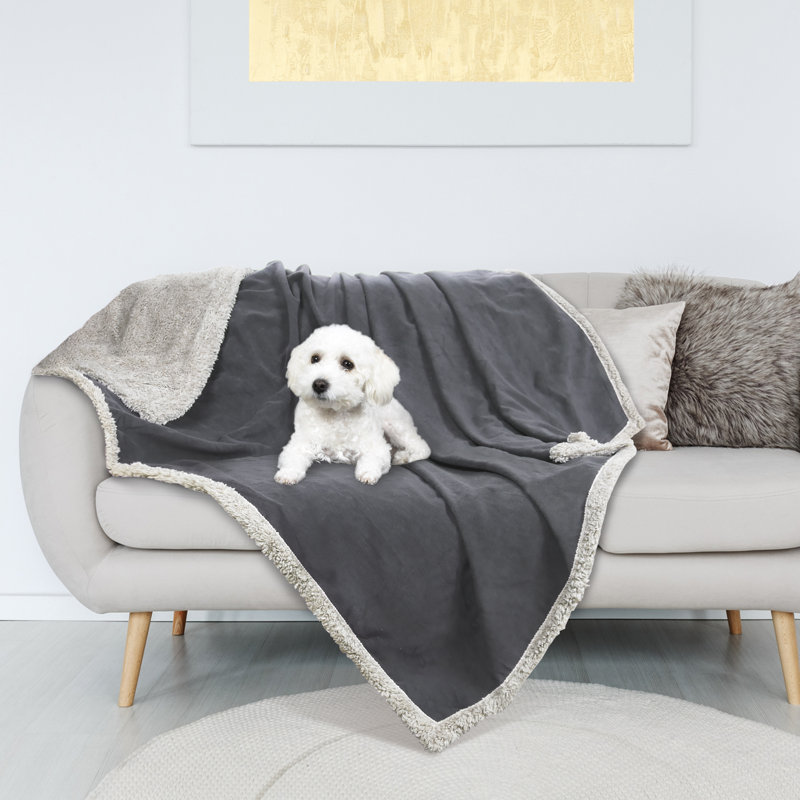 Couvertures imperméables pour chien et chat Catalonia, 50 x 60 pouces, Gris / Taupe