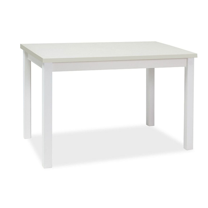 Ashlly Dining Table, H75 x L100 x W60cm, White, White
