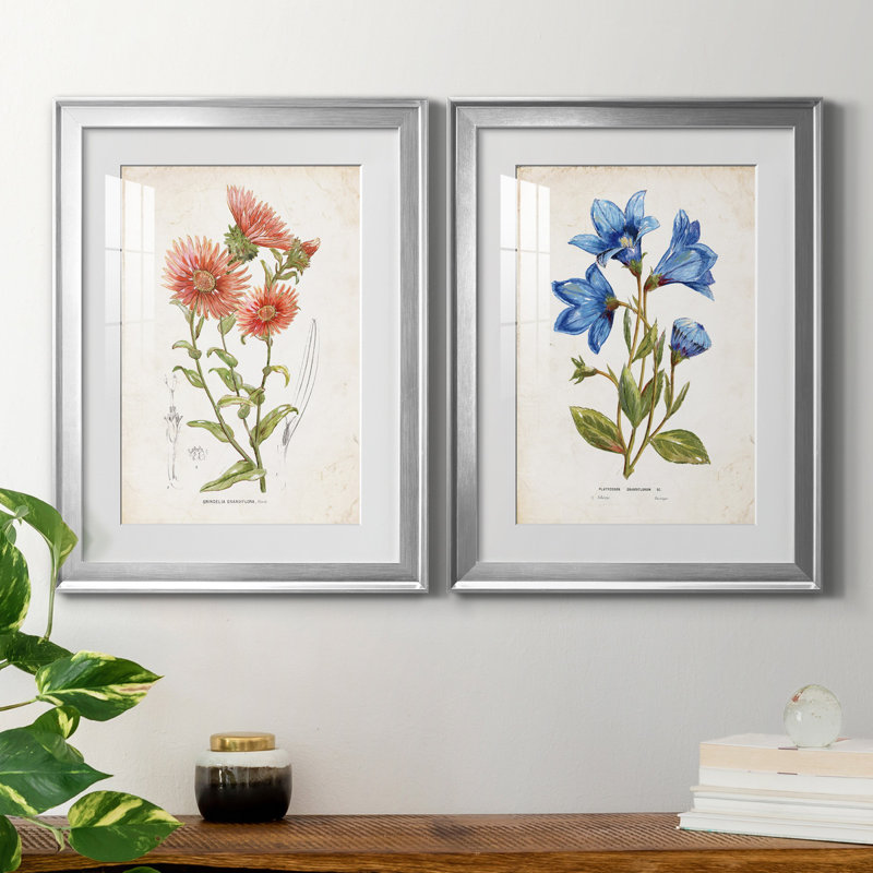 «Botanical I», ensemble de 2 reproductions d'art, Blanc, H 22,5 po x l 61 po x P 1,5 po, Papier avec cadre argenté
