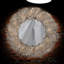 Metal Round Mirror