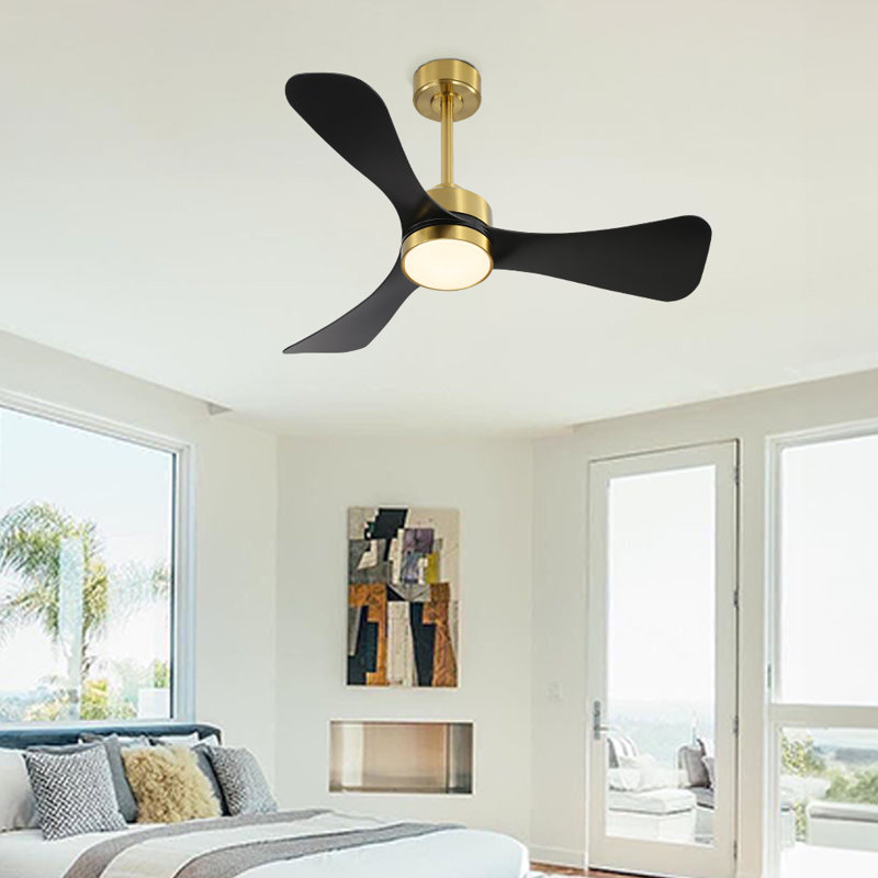 Boun 42'' Ceiling Fan with LED Lights, Black, Black