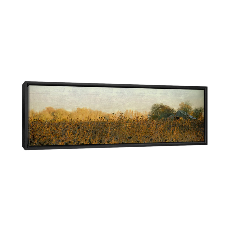 " Rustic Barn On A Sunny Day " by Don Schwartz, 12" H x 36" W x 1.5" D