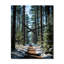 Winter Snowy Evergreen IV - Paysages très horloges murales-460191394
