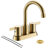 Centerset 2-handle Bathroom Faucet with Drain Assembly-70781259