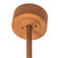 Tall Pines Downrod Ceiling Fan