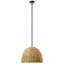 Luminaire suspendu 1 lumière Adlyna