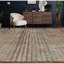 Striped Area Rug in Brown-106956355