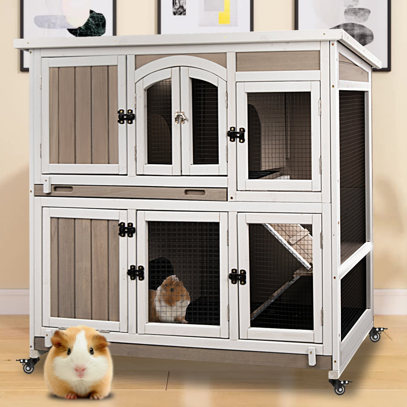Rabbit Hutch With Ramp