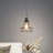 1 - Light Black Single Pendant Light Fixture Hanging Ceiling Lighting Cage Pendant Light Industrial