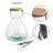 Glass Indoor Terrarium