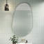 Wall Mounted Mirror-350215976-350215980-338435379