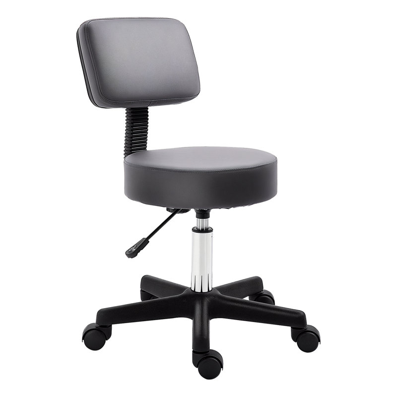 Antwaine Backed Adjustable Height Lab Stool
