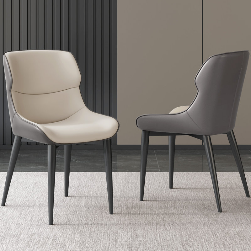 Abishan Modern Dining Chairs Set Of 2 ,2 Pieces Dining Room Chairs for Kitchen, Bar,Dining Room