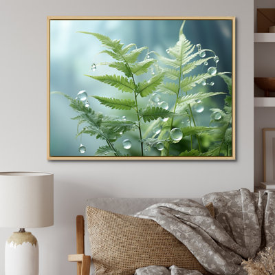 Ferns Plant Ethereal Whispers I - impression