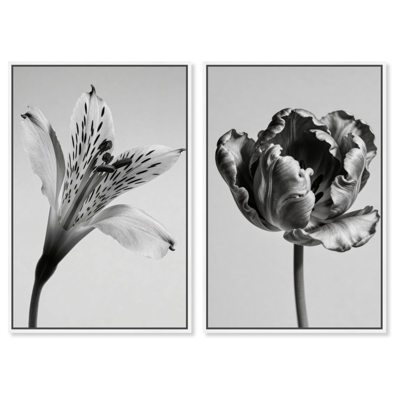 Peeking Flowers Set Set by Oliver Gal, 37"H x 55"W, White Floater Frame