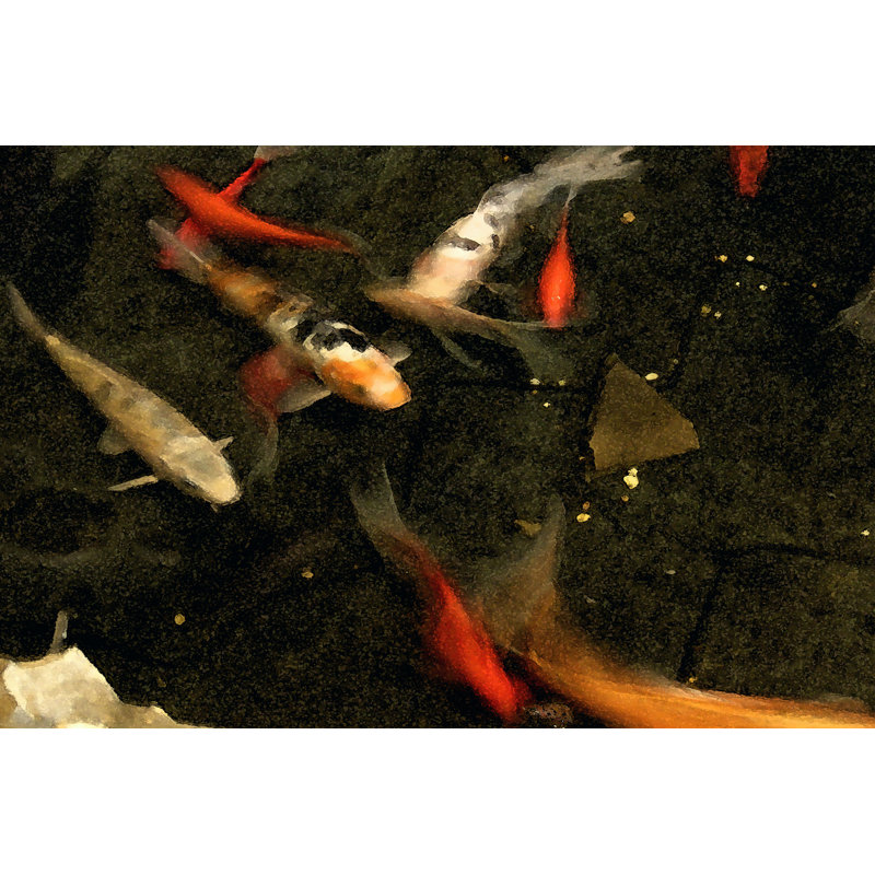 Goldfish Pond II, H 24 po x l 36 po x P 1,25 po