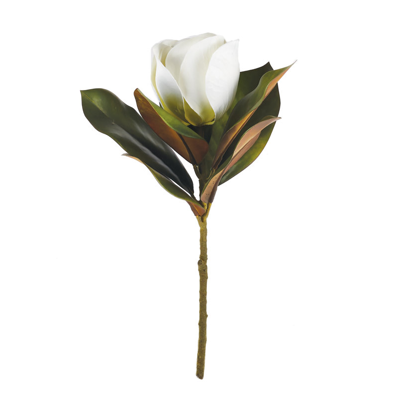 17.5-Inch Magnolia Stem