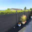 Thisiswholesale-132757668