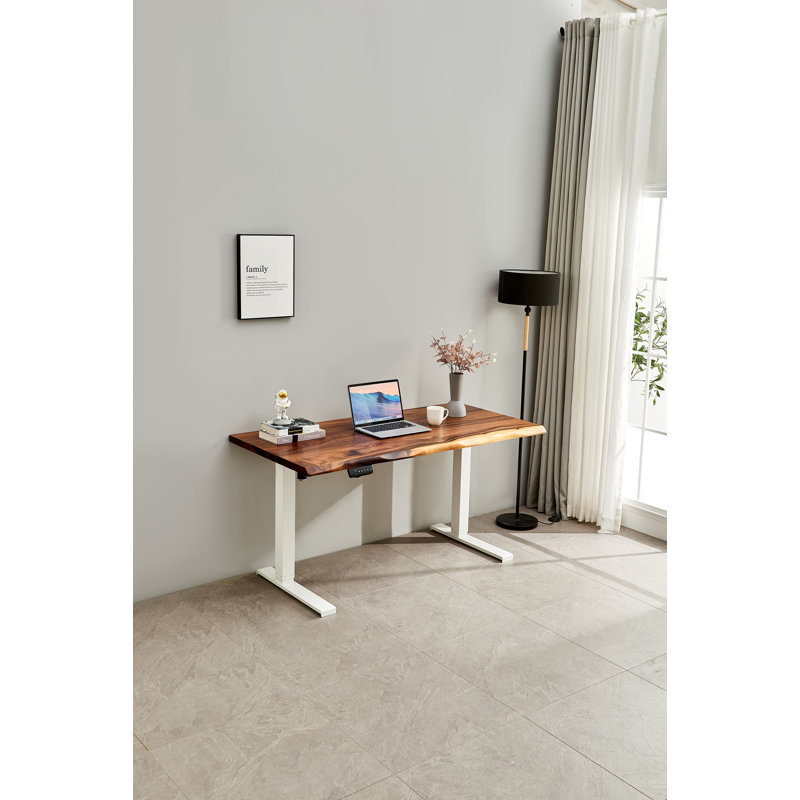 Bureau debout ajustable en noyer d'Amérique du Sud, bureau Live Edge, H 29,5 po x l 46 po x P 24 po, Blanc