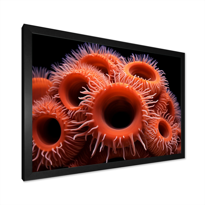 " Orange Giant Plumose Anemone ", Black Single Picture Framed, 24" H x 32" W x 1" D