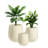 Dorlis Fiberstone Pot Planter-807089850-888476460