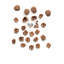 Nut Splitter Walnut Opener