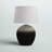 Dansby Ceramic Table Lamp
