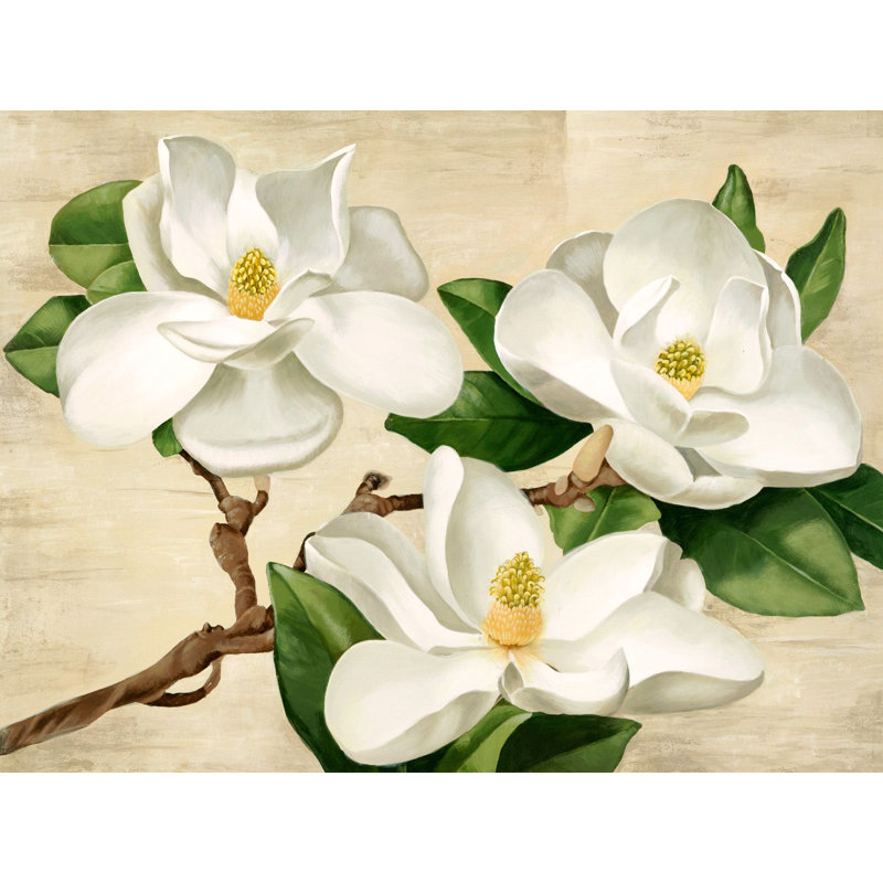 White Magnolia 1 Piece Wrapped Canvas Painting, 50cm H x 70cm W x 4cm D