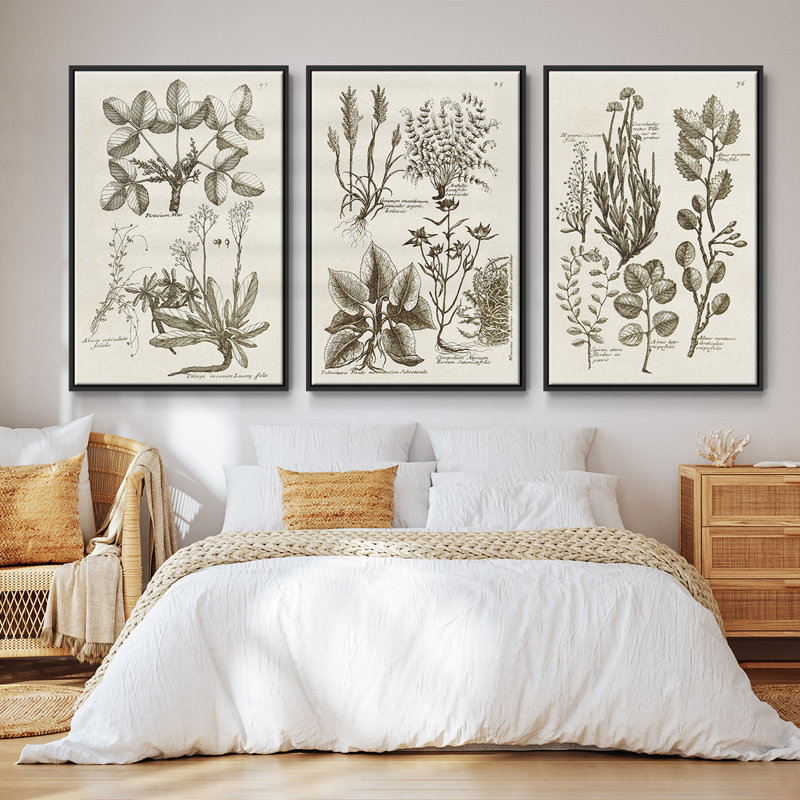 «Sepia Botanical Journal VI», ensemble de 3 pièces encadrées sur toile, Noir, H 27 po x l 54 po