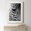 Zebra Colt - Photographie avec cadre photo-1635737487-1635737485