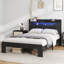 King Size Wood Platform Bed Frame with Storage, LED Headboard & 2 USB Ports — Noise-Free, No Box Spring, Dark Brown-1429623332-1434287253