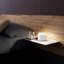 Pushup Pro Table Lamp-893178725