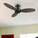 Gatton 48'' Ceiling Fan without light