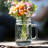 County Libbey Fair Glass Drinking Jars