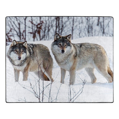 Jeté Winter Wolves Wilderness Raschel, 50 x 60 pouces