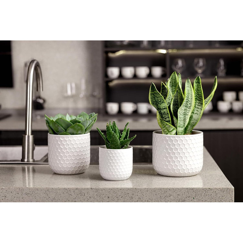 Ceramic Planter