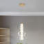 Led Clear Glass Pendant