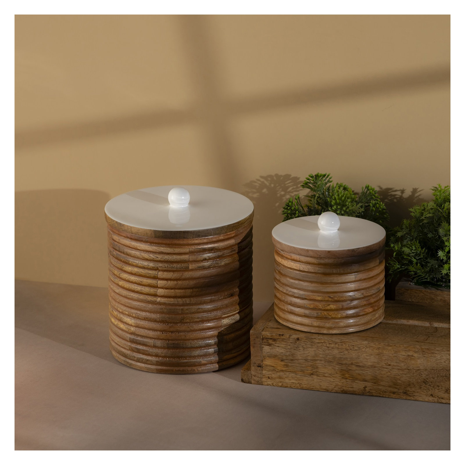 Mango Wood Canisters Set Of 2, Brown