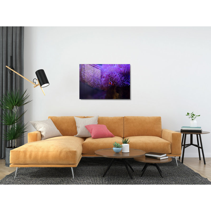 Verre 2, H 19,7 po x l 27,6 po x P 1 po