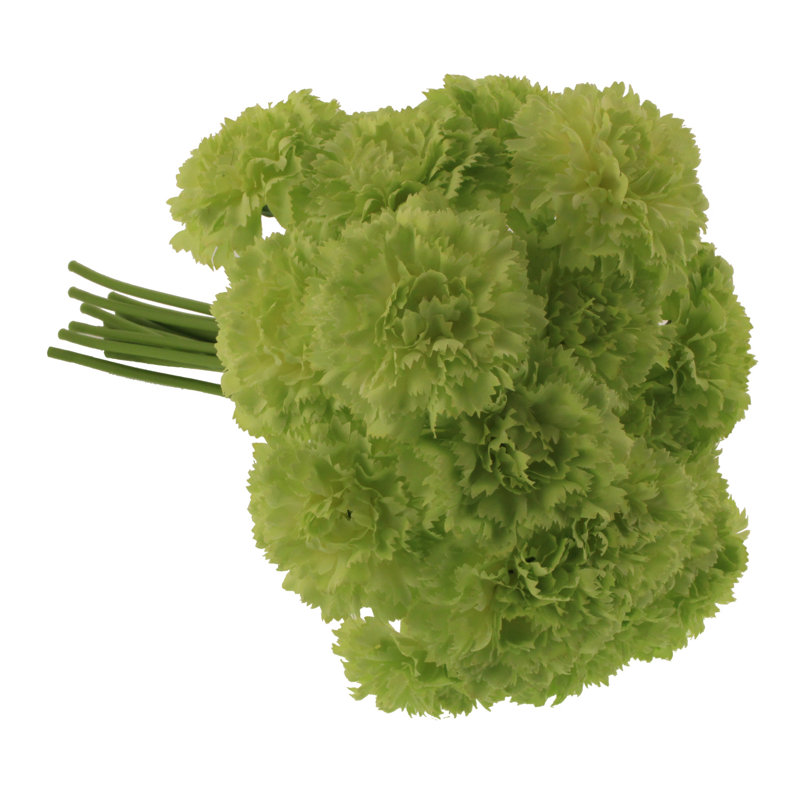 Carnation Arrangement, Green