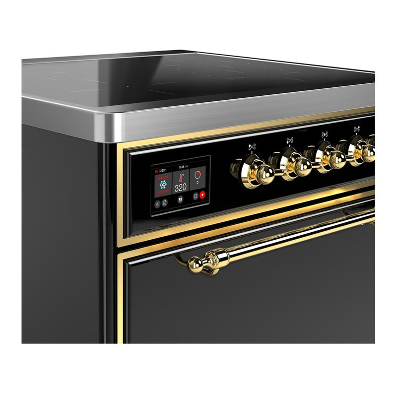 Majestic III Series 30 Inch Induction Range with 4 Induction Elements in Glossy Black (Brass Trim), Brass, Glossy Black