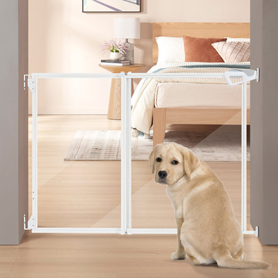Clear Dog Gate