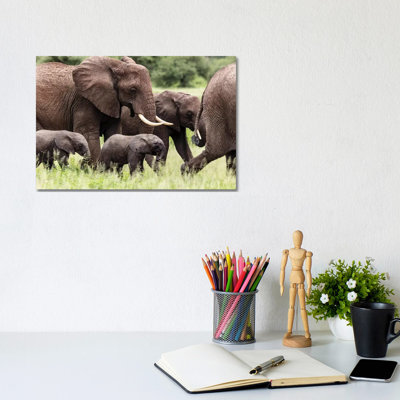 Babies 1 Piece Wrapped Canvas Wall Art