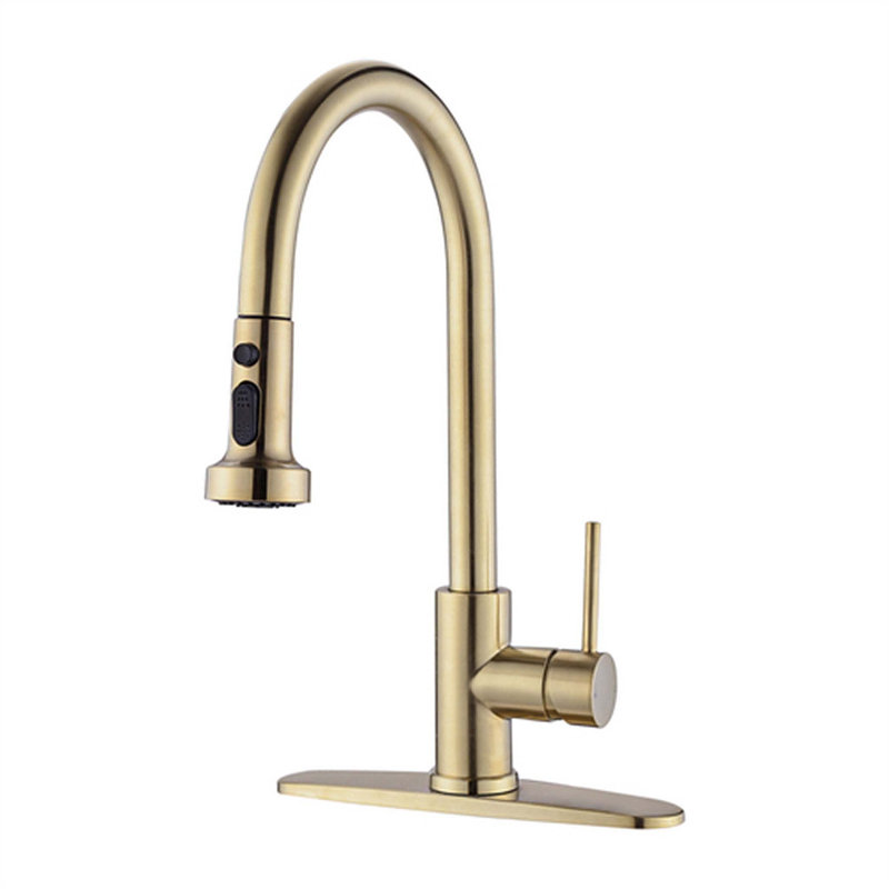 Red Cloud Pull Down Kitchen Faucet, Gold