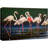 " Vibrant Pink Flamingos Safari Jungle "-93629611-93629615