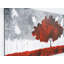 Peintures murales Wandela