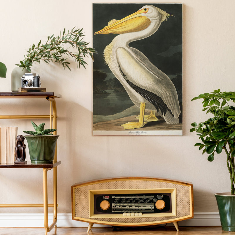 " Pl 311 American White Pelican ", 36" H x 24" W x 1.5" D